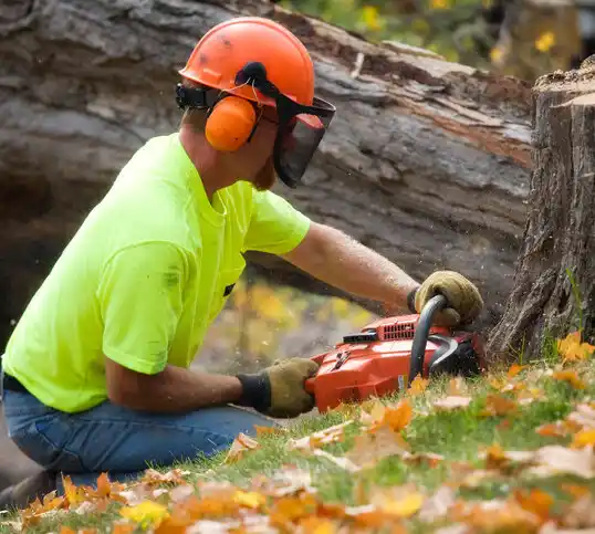 tree services Callaway